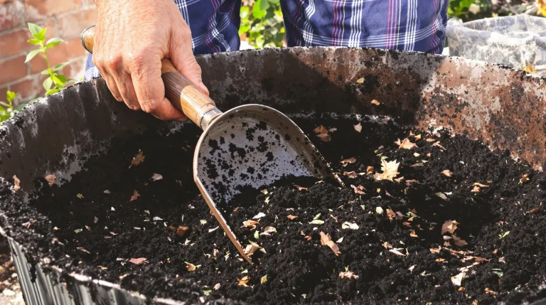« J&rsquo;ai arrêté d&rsquo;acheter du terreau » : la méthode toute simple que les jardiniers malins utilisent